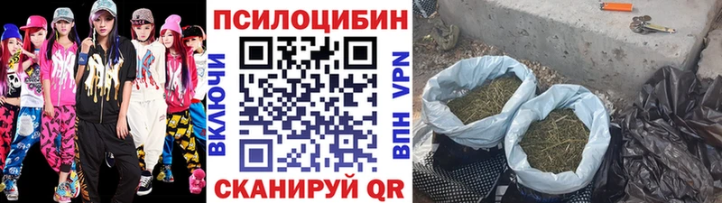 Псилоцибиновые грибы прущие грибы hydra Беслан