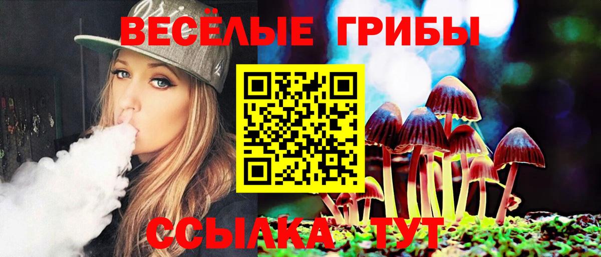 Беслан  Галлюциногенные грибы прущие грибы  Вход с VPN 